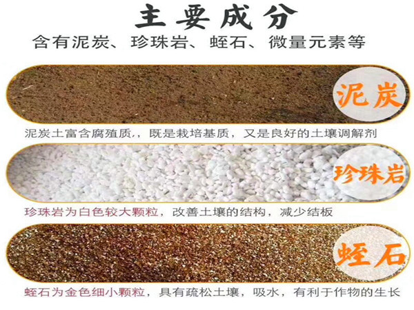 企业风采展示